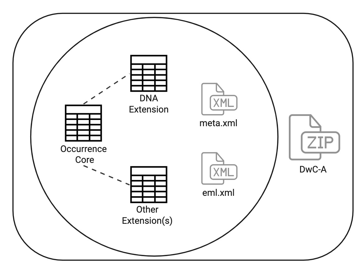 Conceptual model of a Darwin Core Archive (DwC-A) for DNA data using Occurrence Core