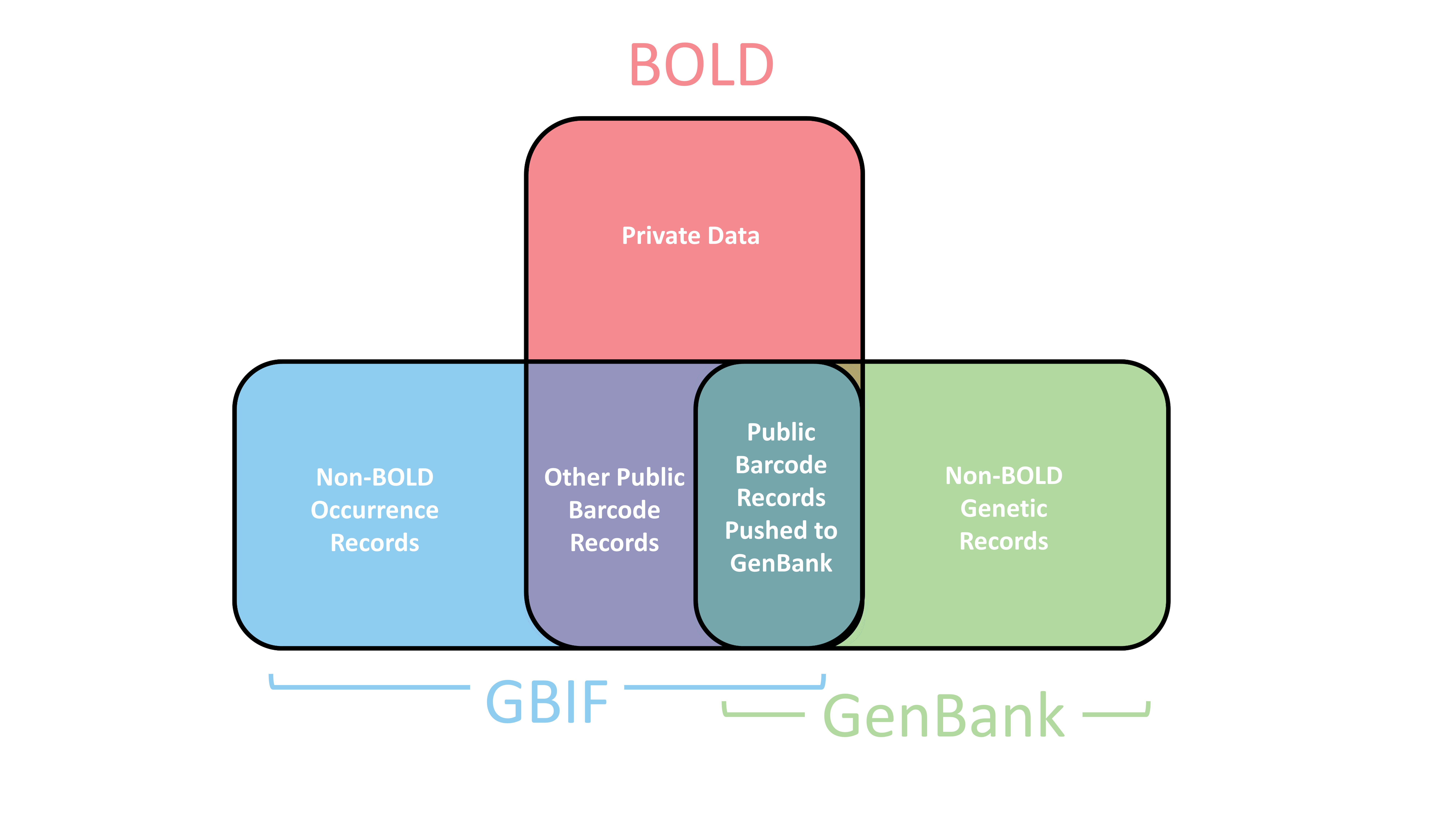 Venn Diagram showing how BOLD, GenBank and GBIF records overlap.