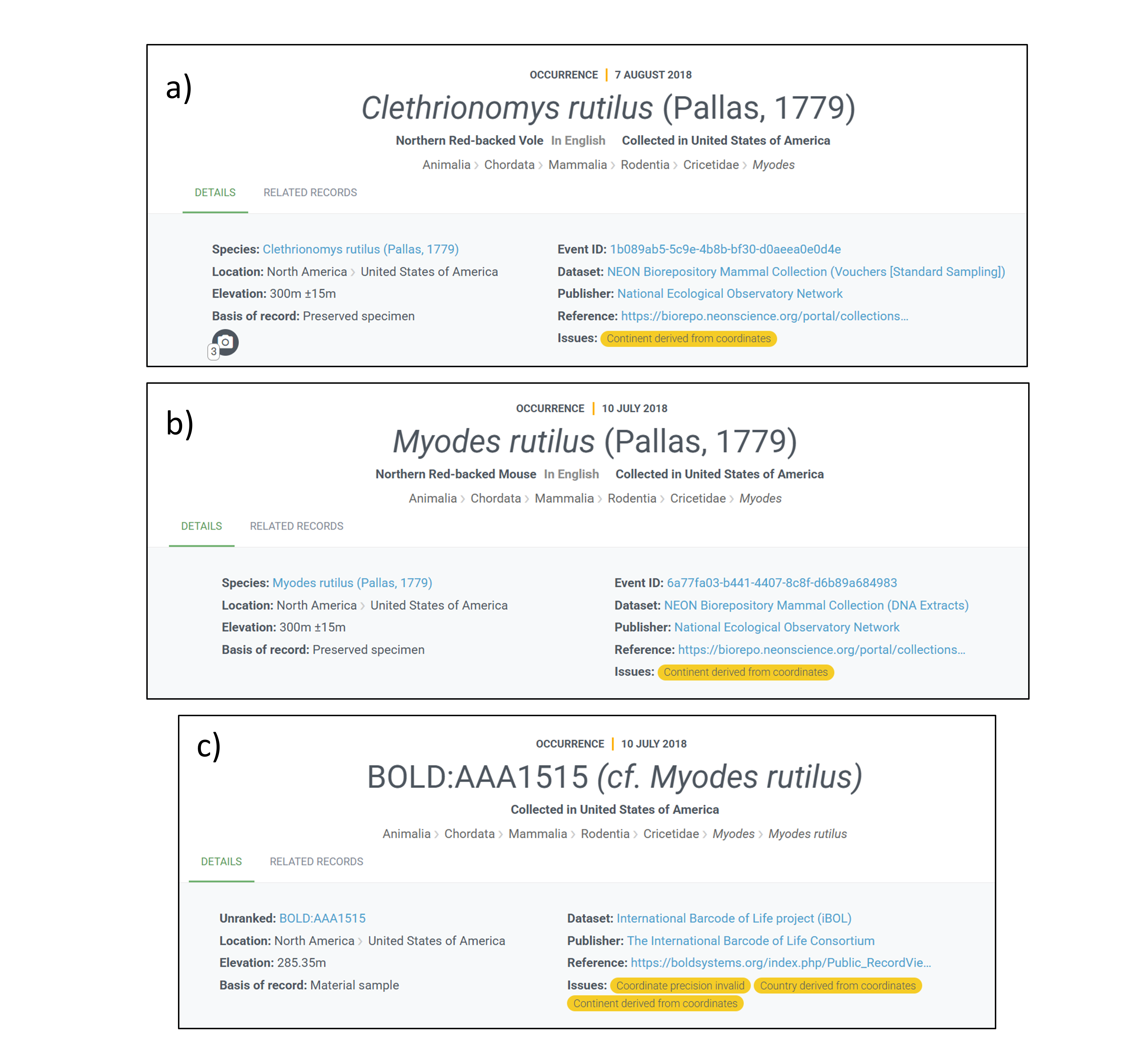 Screenshot showing separate NEON records for the same specimen on GBIF