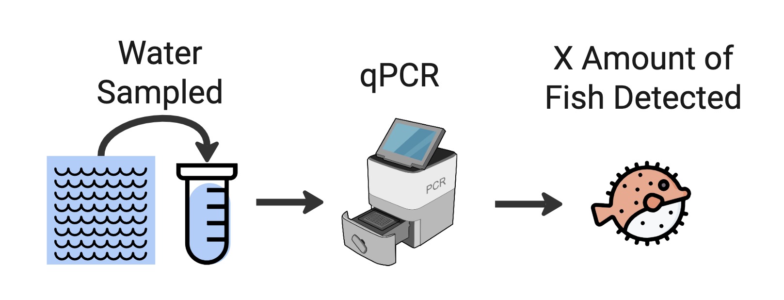 Conceptual model of a qPCR analysis